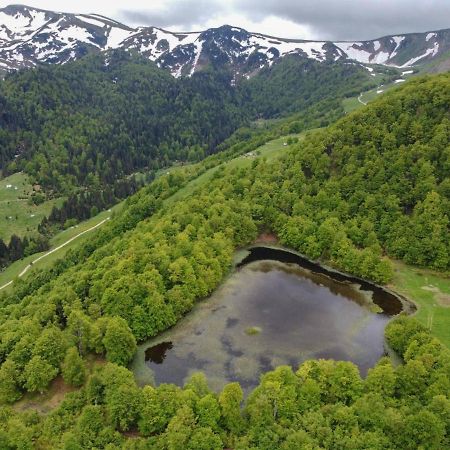 Rakovic Katun - Biogradska Gora Accomodation Villa เบราเน ภายนอก รูปภาพ