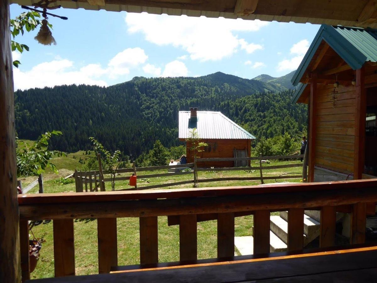 Rakovic Katun - Biogradska Gora Accomodation Villa เบราเน ภายนอก รูปภาพ