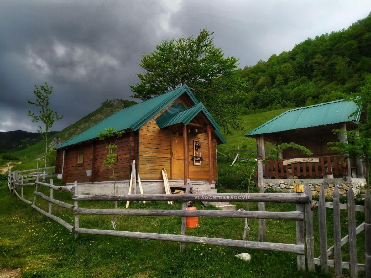 Rakovic Katun - Biogradska Gora Accomodation Villa เบราเน ภายนอก รูปภาพ