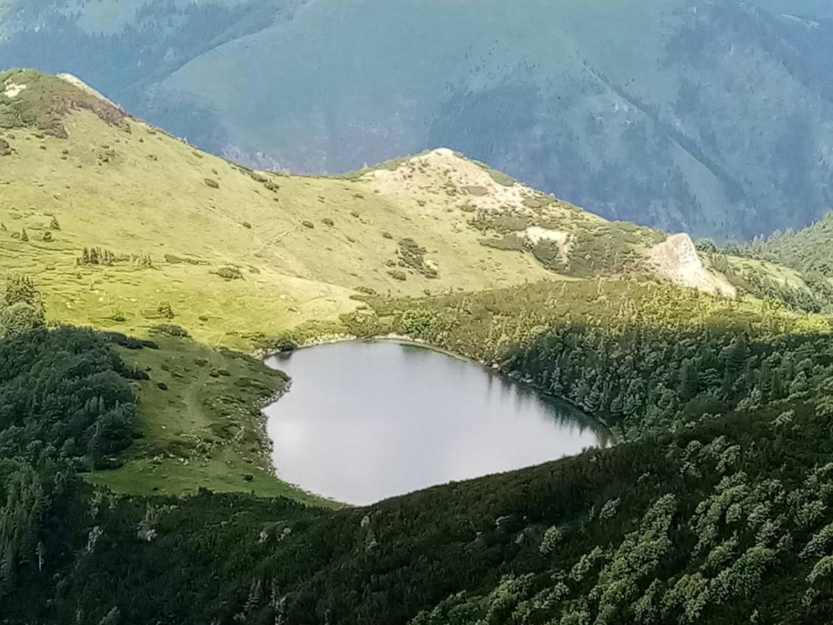 Rakovic Katun - Biogradska Gora Accomodation Villa เบราเน ภายนอก รูปภาพ