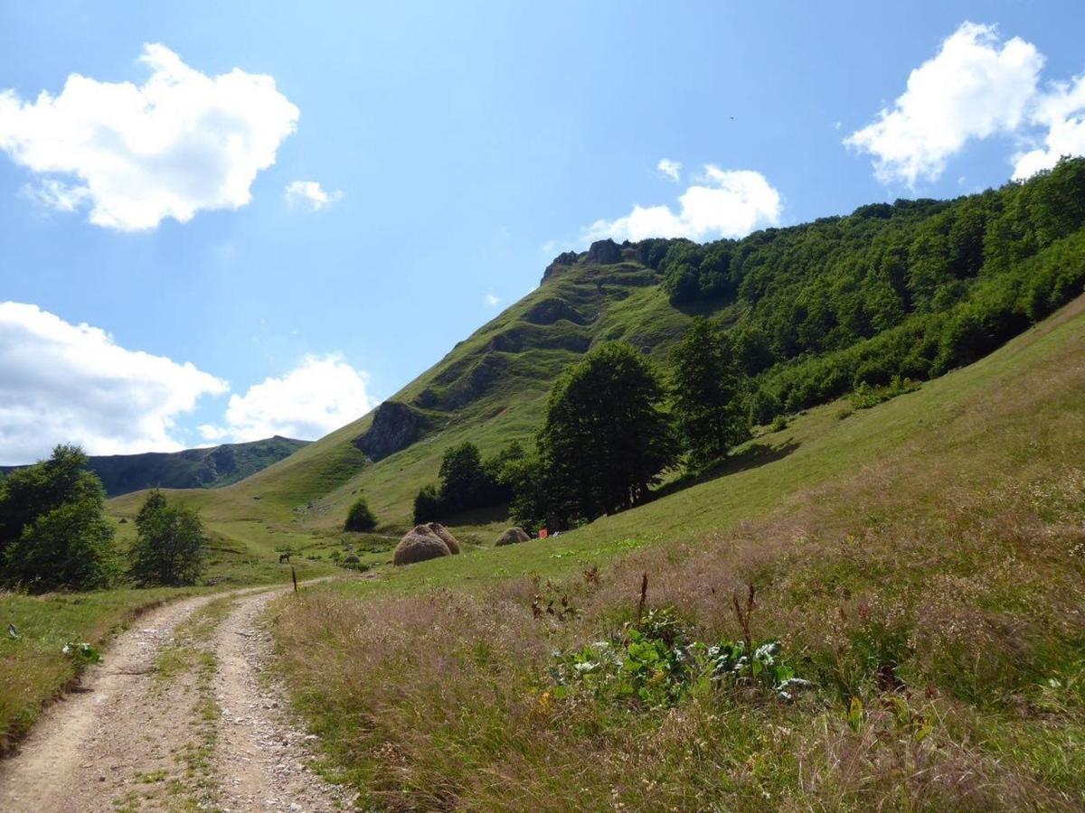 Rakovic Katun - Biogradska Gora Accomodation Villa เบราเน ภายนอก รูปภาพ