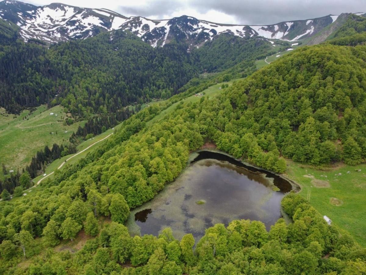 Rakovic Katun - Biogradska Gora Accomodation Villa เบราเน ภายนอก รูปภาพ